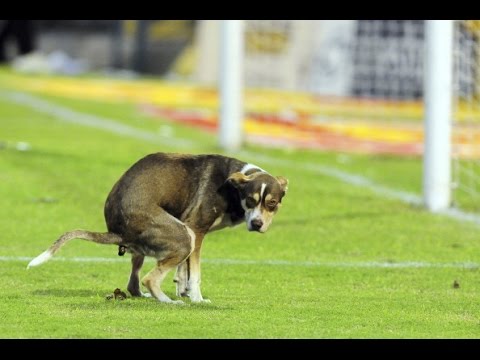 Momentos Divertidos em Futebol